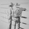 Pair Of Wranglers