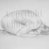 Quiescent