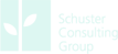 Schuster Consulting